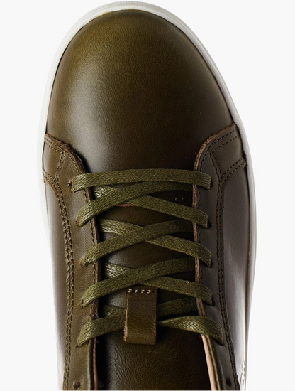 Polo Olive Classic Leather Sneakers